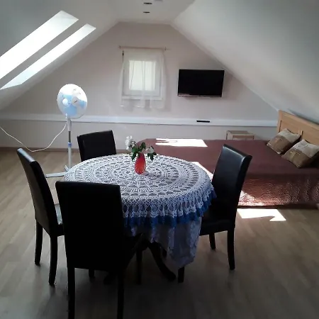 Vendégház Zemaiciu 3*